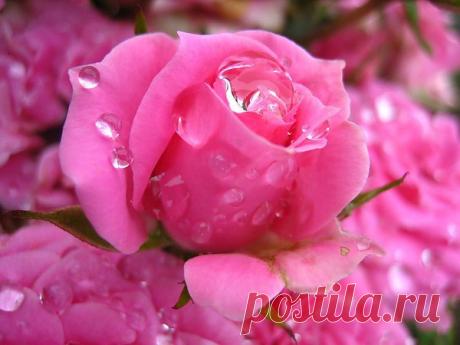 ОЧЕНЬ КРУТОЙ ТЕСТ!
Ответы внизу. Не подсматривай в самый низ.

1.Какой цвет тебе больше всего нравиться.

Красный
Черный
Голубой
Зеленый
Желтый?

2. Первая буква твоего имени.

3. Месяц Рождения

4. Белый или Черный?

5. Назови человека одного с тобой пола.

6. Любимое число

7. Больше нравиться летать или ездить?

8. Океан или Озеро

9. Загадай желание

Секретно Ответы:

\/
\/
\/
\/
\/
\/
\/
\/
\/
\/
\/
\/
\/
\/
\/
\/

1. Если ты выбрал:

Красный