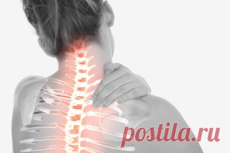 Шейный остеохондроз боиться меда | Medstory | Яндекс Дзен