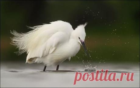 • Celosvětový katalog nápadů