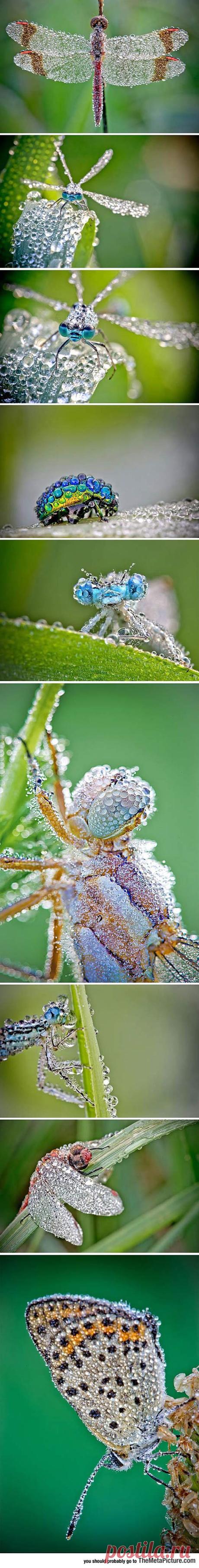 Pinterest • Всемирный каталог идей