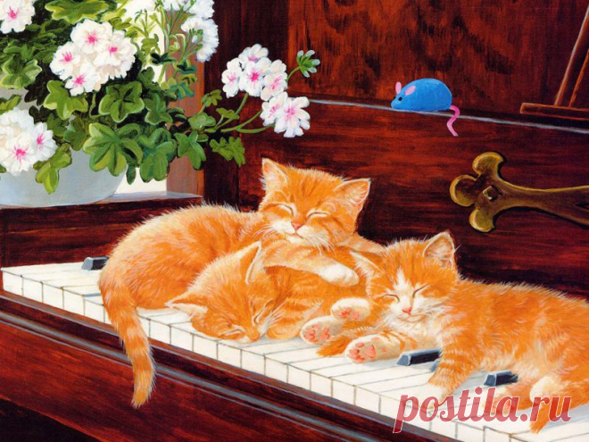 Images ::: альбом Рисунки. Кошки ::: КРЕАТИВ » Рисунки / фентези / фото 16338087 800 x 600 io.ua