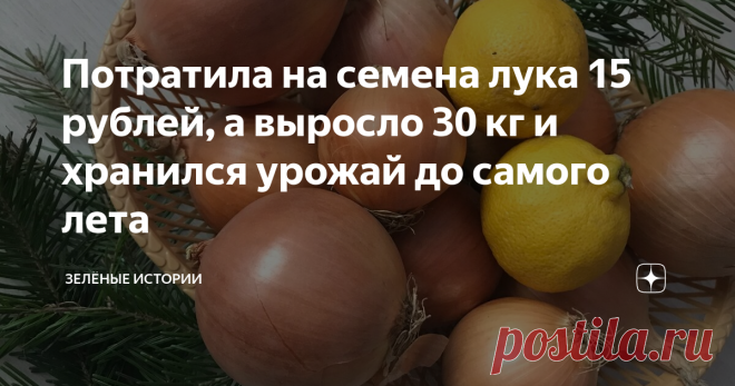 Потратила на семена лука 15 рублей, а выросло 30 кг и хранился урожай до самого лета Да-да, потратила на семена всего 15 рублей, а выгоды получила 600 рублей. Совершенно не случайно в заголовок вынесены цены и цифры. Намедни один товарищ в комментариях к статье про картофель упорно навязывал беседу о том, что ему по карману все овощи, все он купить может, а мы, огородники, просто денег не считаем, которые тратим на посадки. Вот, посчитала. Но это шутка, а речь в статье сов...