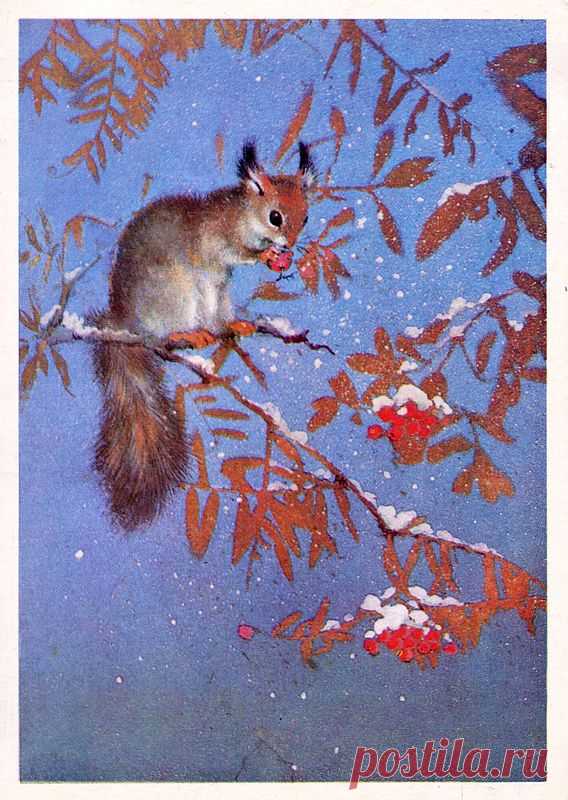 sirin-from-shrm — «14 Исаков.jpg» на Яндекс.Фотках