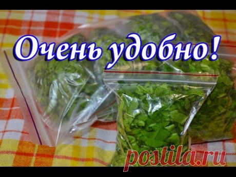 Как заморозить щавель на зиму в морозилке