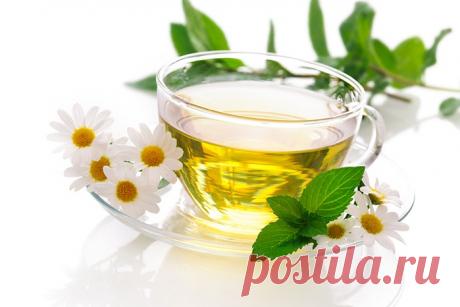 Чай для подавления чувства голода — Полезные советы