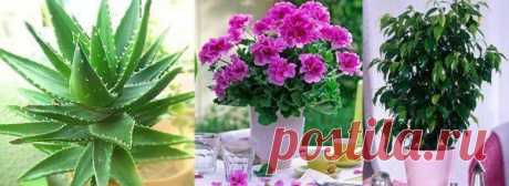 Хитрости Жизни