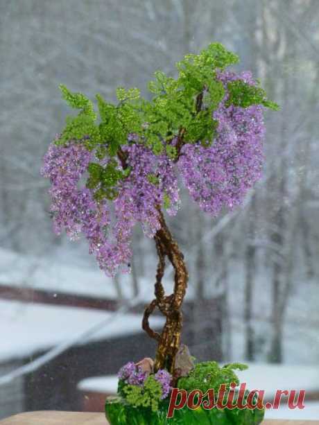 biser.info_45821_glicinija-pushistaja_1408820382.jpg (360×480)