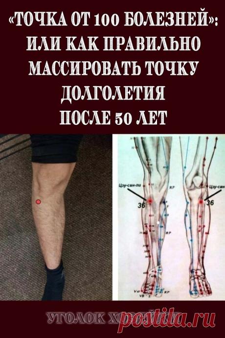 Восточные практики содержат в себе информацию о «точках». Местах на теле человека, связанных с каждым органом. Но есть одна точка, которую называют «точкой от 100 болезней» или «точкой долголетия». Массаж данной точки рекомендован для людей после 50 лет, но и не противопоказан для людей помоложе. Эффект остаётся тем же самым.