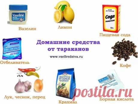Домашние средства от тараканов | Все Средства