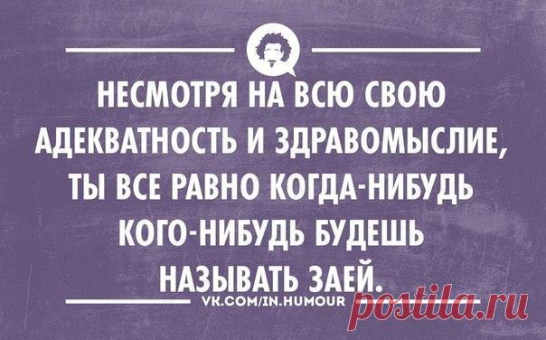 Timeline Photos - Don Serzh Dvorkin