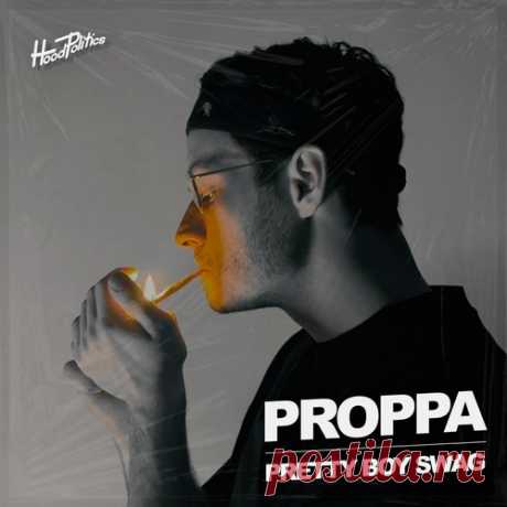 Download Proppa - Pretty Boy Swag Label Hood Politics Records Styles Bass House Date 2024-12-20 Catalog # HP275 Length 5:15 Tracks 1