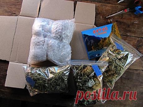 Мастер-Классы. Ярмарка Мастеров - ручная работа, handmade