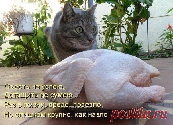 Правда жизни | Позитив