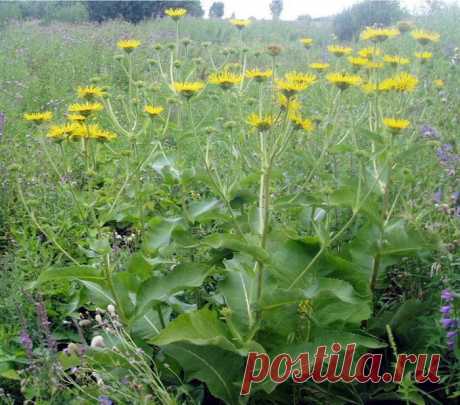 ЗДОРОВЬЕ | Записи в рубрике ЗДОРОВЬЕ | Дневник держи_меня_крепко