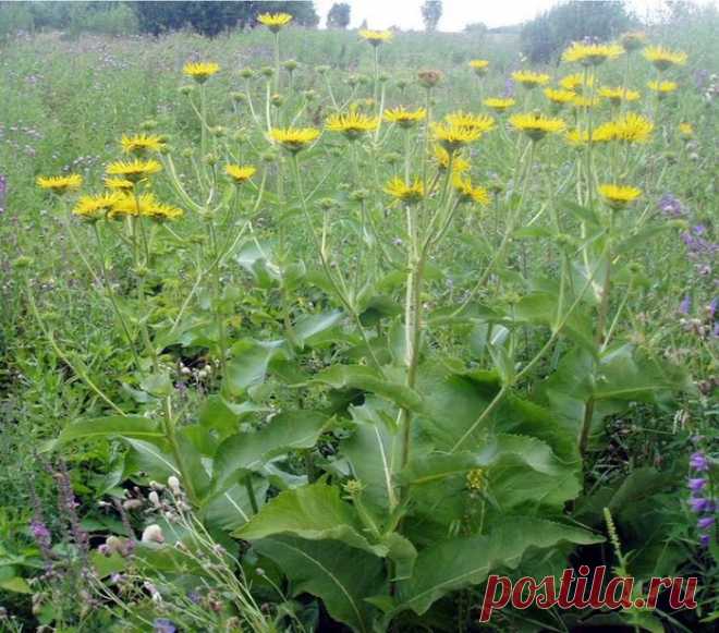 ЗДОРОВЬЕ | Записи в рубрике ЗДОРОВЬЕ | Дневник держи_меня_крепко