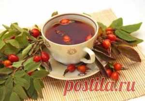 Грамотно завариваем шиповник | Тут еда и лучшие рецепты