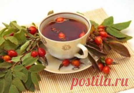 Грамотно завариваем шиповник | Тут еда и лучшие рецепты