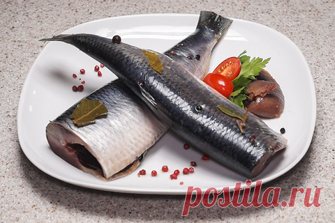 Солим селедку рецепт приготовления
