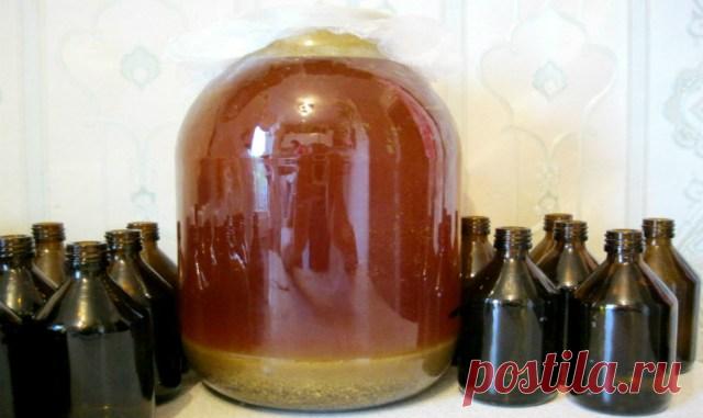 Единственный продукт, который убивает вирусы, грибок и бактерии одновременно! При смешивании пищеварительных ферментов пчел и смолистых веществ растений образуется клейкое вещество с уникальной формулой — прополис. Пчелам прополис нужен для защиты и обеззараживания медовых сот …