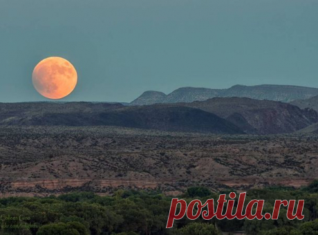 В течение более чем одного часа Луна, оставаясь в самой яркой фазе, находилась в перигее — ближайшей к Земле точке своей орбиты. В результате она выглядела на 30% ярче и на 14% крупнее обычного. В последний раз подобное явление наблюдалось более 30 лет назад, в 1982 году, а в следующий раз его можно ожидать в 2033 году.
Автор фото: M. Colleen Gino. |  «Кровавая Суперлуна»: какой ее увидели жители Земли — National Geographic Россия