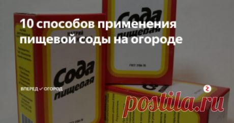 10 способов применения пищевой соды на огороде В настоящее время разнообразие различных препаратов для ухода за огородом и борьбе с болезнями и вредителями просто поражает. Но мы забыли про безопасное и не уступающее по эффективности, всем известное средство - ПИЩЕВАЯ СОДА!
Как же можно применять пищевую соду на огороде?
1) Мучнистая роса на кустарниках (крыжовник, смородина, малина) и овощных культурах (огурцы, тыквы, кабачки)
4 ст. л. соды н
