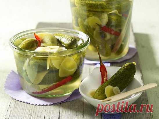 Необыкновенно вкусные огурцы маринованные в яблочном соке
После освоения консервирования огурцов солением и маринованием, хочется поэкспериментировать. Например, для тех, кто не любит уксусный маринад — подойдет вариант с заменой его на яблочный сок или смородину.
Огурцы в яблочном соке получаются хрустящие, сладковато-кислые, но в меру. Они отлично идут и как самостоятельная закуска, так и в салат. При этом маринад на основе яблочного сока тоже очень вкусный и не слишком ...