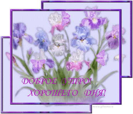 Открытки картинки поздравления Доброго утра, хорошего дня. Прекрасные ирисы и бабочки на них фото рисунки Доброго утра, хорошего дня. Прекрасные ирисы и бабочки на них