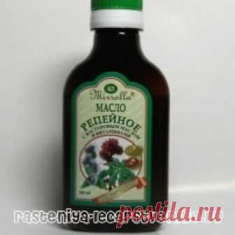Репейное масло - маска для волос, применение, рецепты