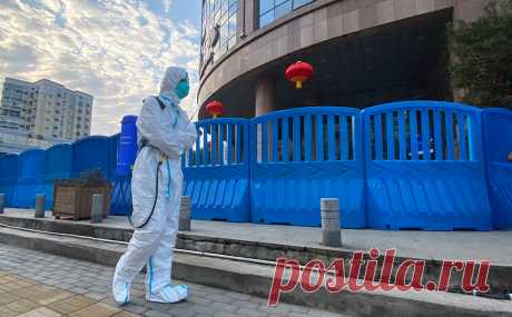 Ученые оценили опасность нового коронавируса, о котором сообщили в Ухане. Вирусов, которые в будущем могут быть опасны для человека, много, но на сегодняшний день угроза только гипотетическая.