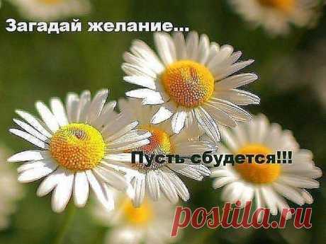 Есть у мудрых французов золотые слова:
&quot;Если б молодость знала, если б старость могла&quot;,
но бывает участок в середине пути,
когда мудрость и сила могут рядом идти.
Два коротеньких слова: &quot;ещё&quot; и &quot;уже&quot;.
Между ними так просто каждой душе.
Так что жить в эту пору легко, и приятно.
Вам &quot;ЁЩЕ&quot; всё доступно и &quot;УЖЕ&quot; всё понятно