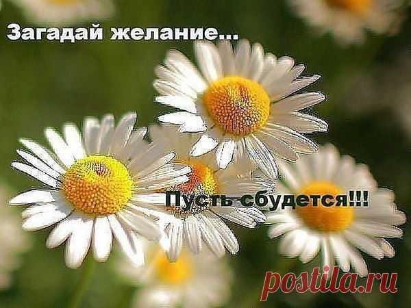 Есть у мудрых французов золотые слова:
"Если б молодость знала, если б старость могла",
но бывает участок в середине пути,
когда мудрость и сила могут рядом идти.
Два коротеньких слова: "ещё" и "уже".
Между ними так просто каждой душе.
Так что жить в эту пору легко, и приятно.
Вам "ЁЩЕ" всё доступно и "УЖЕ" всё понятно