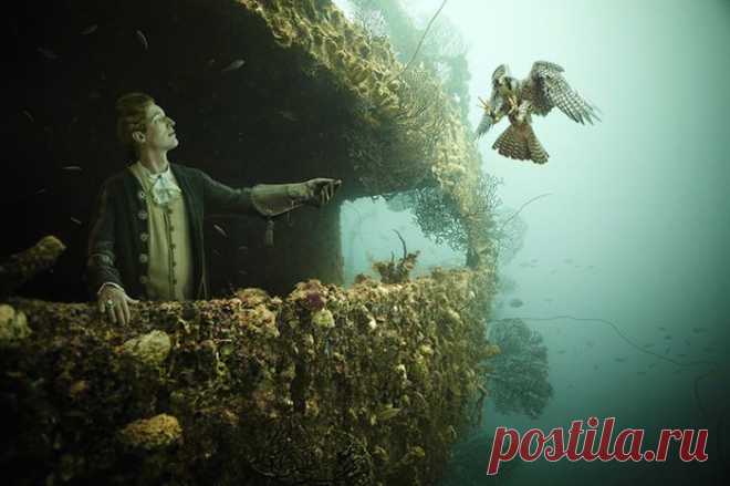 Роскошная жизнь на дне моря: интересный фотопроект от Андреаса Франке