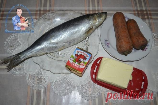 Красная икра из селедки и моркови - рецепт с фото. Как приготовить ложную красную икру | Народные знания от Кравченко Анатолия