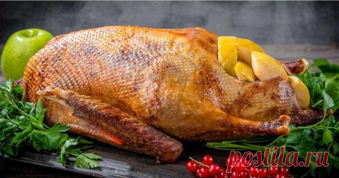 Рождественский гусь с яблоками и апельсинами — Eda.Video Научитесь приготовить вкусный Рождественский гусь с яблоками и апельсинами. Этот рецепт принесет праздничное настроение на вашем столе. Подробное описание и инструкции для приготовления