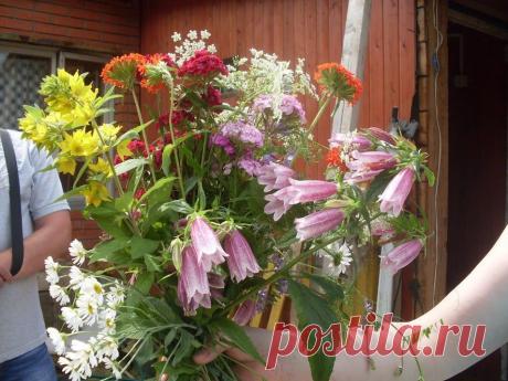 Мой букетик дачный для Вас !﻿