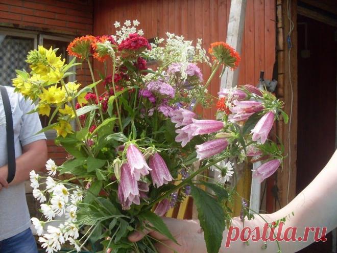 Мой букетик дачный для Вас !﻿