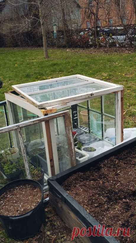 This is an easy upcycling project that will increase your growing time and add a cute focal point to your garden area! All you need is old windows (these are all over the place! just ask around or…