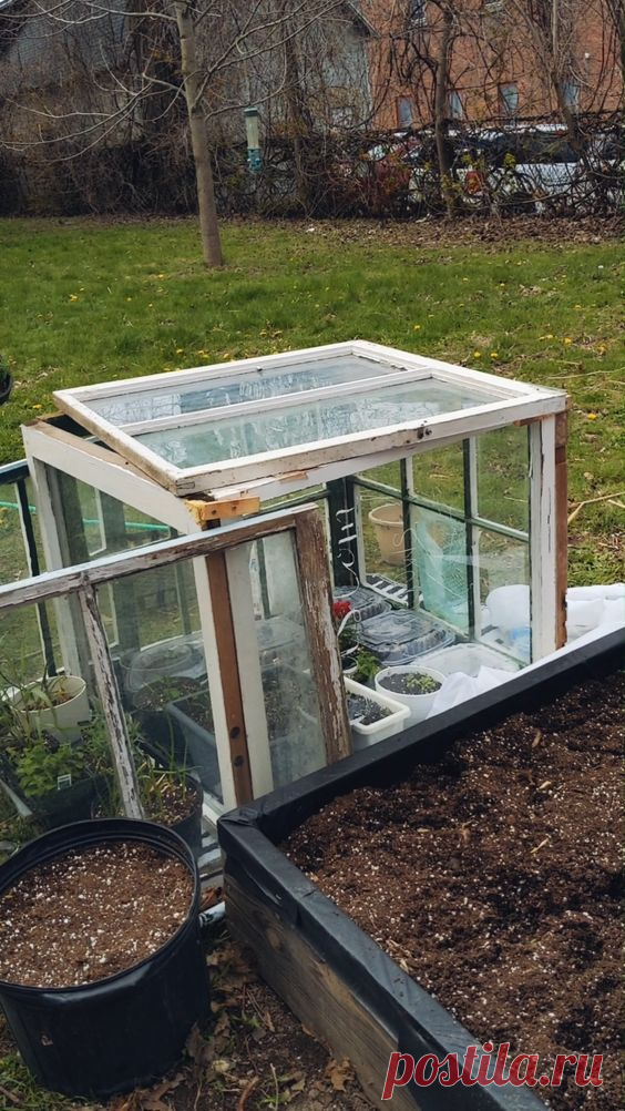 This is an easy upcycling project that will increase your growing time and add a cute focal point to your garden area! All you need is old windows (these are all over the place! just ask around or…