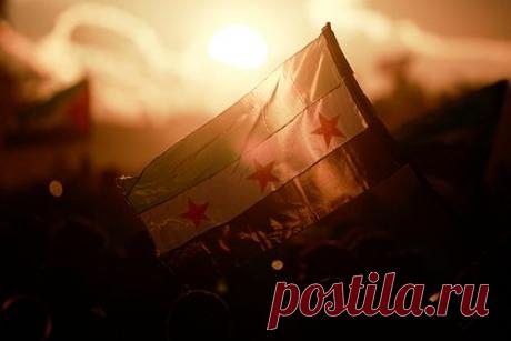 В Сирии обнаружили крупную лабораторию по синтезу «наркотика джихада»