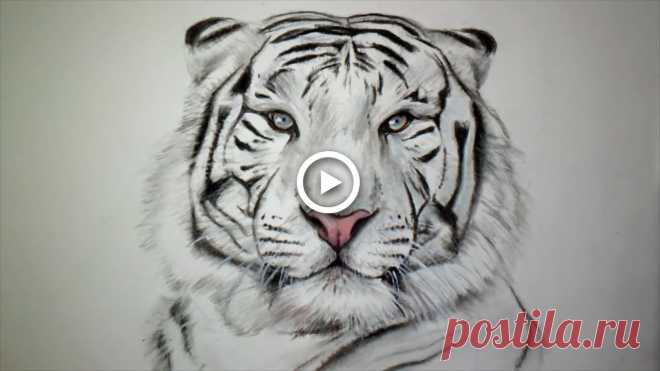 Рисунок морды тигра – Google Поиск