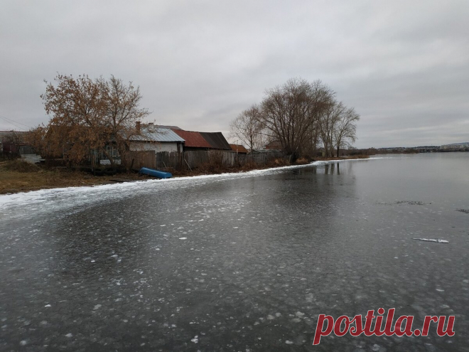 Звездочка елена халдина дзен 61 Фишка это подборка лайфхаков для дома. Разные полезные хитрости на каждый день про уборку, стирку, уход за вещами, как мыть, убрать, почистить, а также поздравления и идеи подарков.
