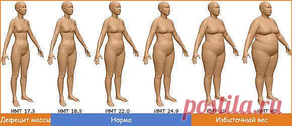 Калькулятор индекса массы тела (ИМТ) |