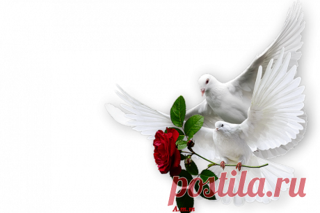 клипарт | Записи в рубрике клипарт | Дневник Нина_Гуревич