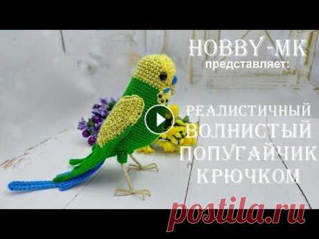 Волнистый попугай крючком Кеша ч.2 (авторский МК Светланы Кононенко) В первой части МК по волнистому попугаю крючком мы с вами сделали ножки и связали тело. Во второй части мы: 00:00 подготовим каркасную проволоку; 03:1...