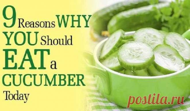 Вот почему вы должны есть огурцы, так часто, как вы можете — Домашний уют