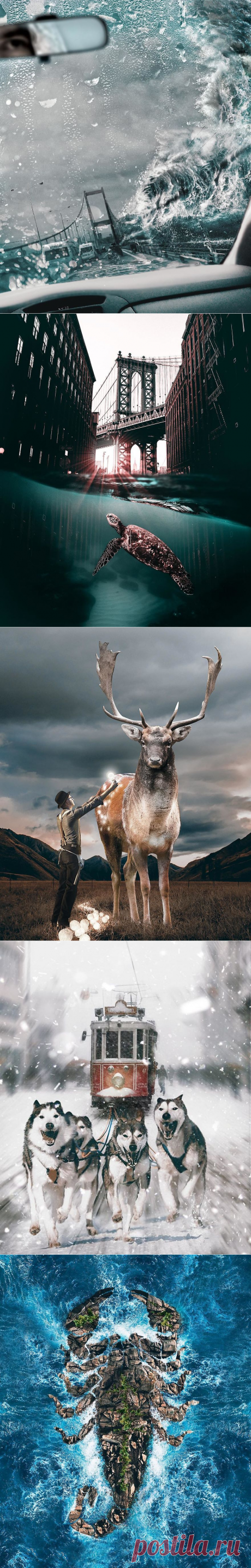 Поначалу я не понял, что это. Но, когда подошел ближе, моему восторгу не было предела… — creeker.ru