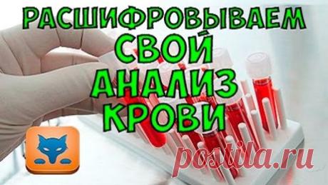 Комментарии к теме