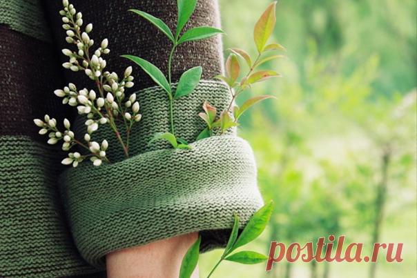 •••
Мой май   запускает воздушного змея: в открытое небо над тихой аллеей летит его маленький бриг. Читает на крыше Хемингуэя и думает: 