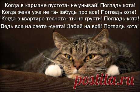 (5) Мой Мир@Mail.Ru