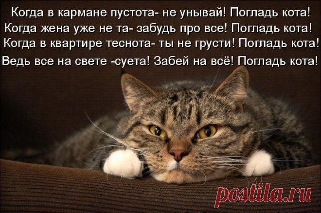 (5) Мой Мир@Mail.Ru